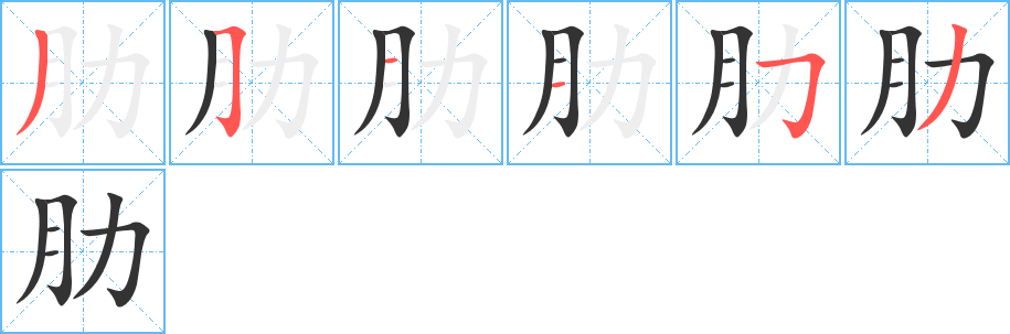 肋的笔画顺序图