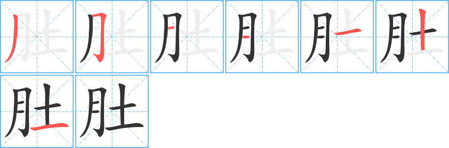 肚的笔画顺序图