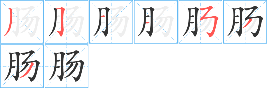 肠的笔画顺序图