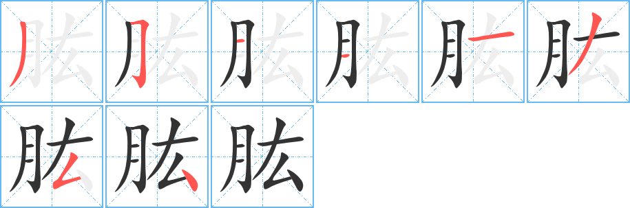 肱的笔画顺序图