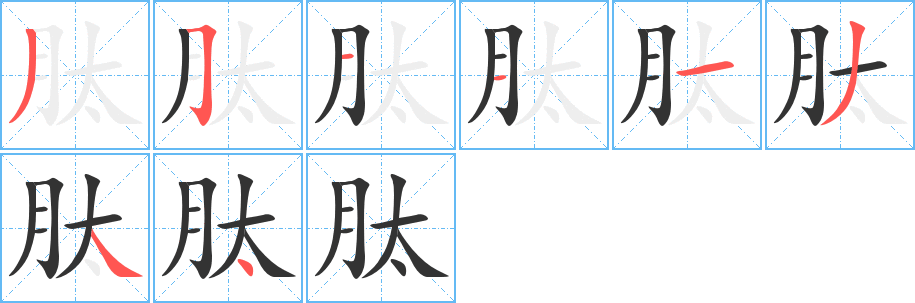 肽的笔画顺序图