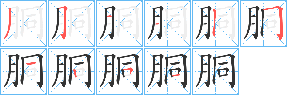 胴的笔画顺序图