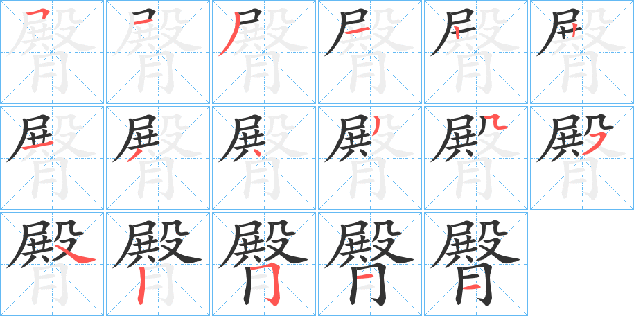 臀的笔画顺序图