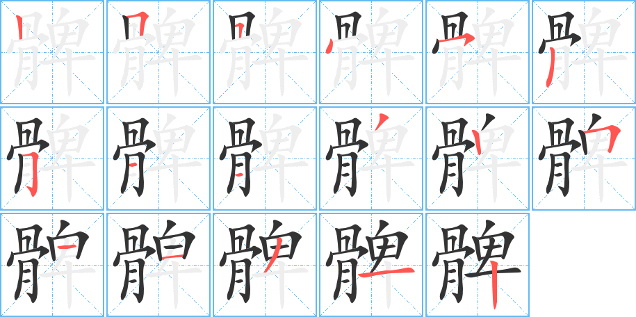 髀的笔画顺序图