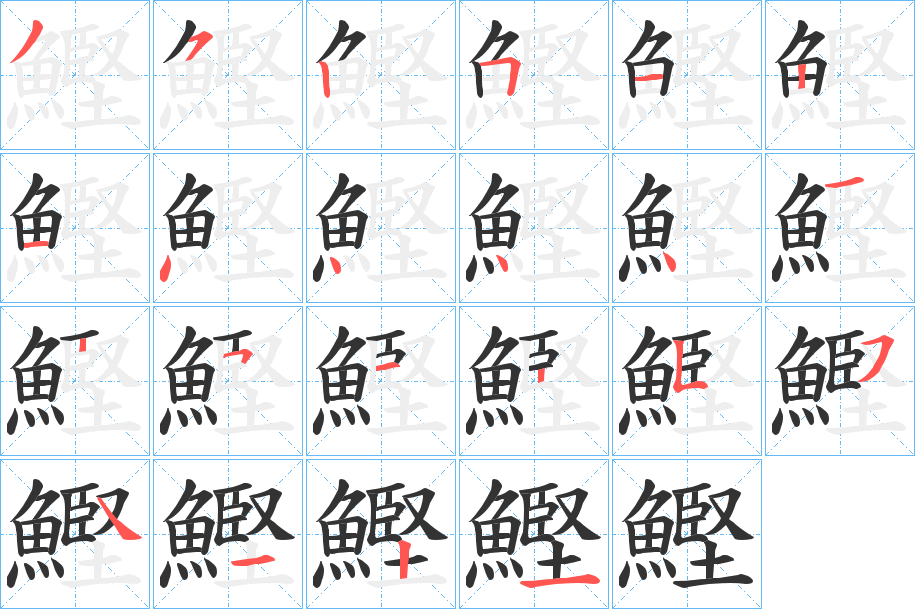 鰹的笔画顺序图